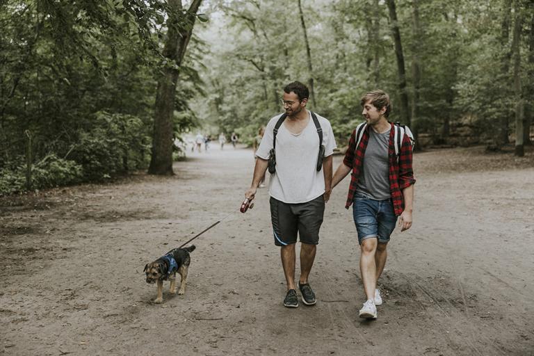 A couple walking a dog on a hiking trail
