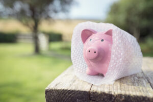 Piggy bank wrapped in bubble wrap, protecting your money