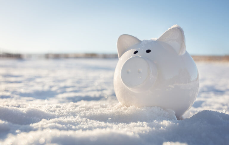 Piggy bank in the snow background, frozen assets.