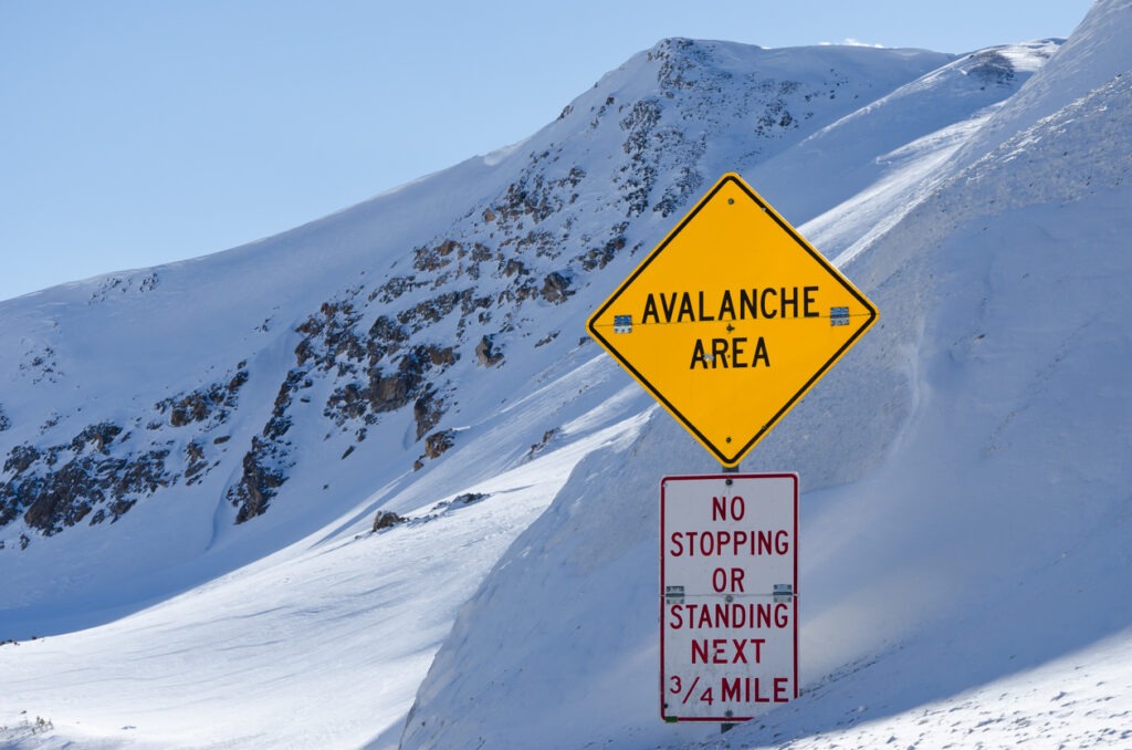 Avalanche Area Sign